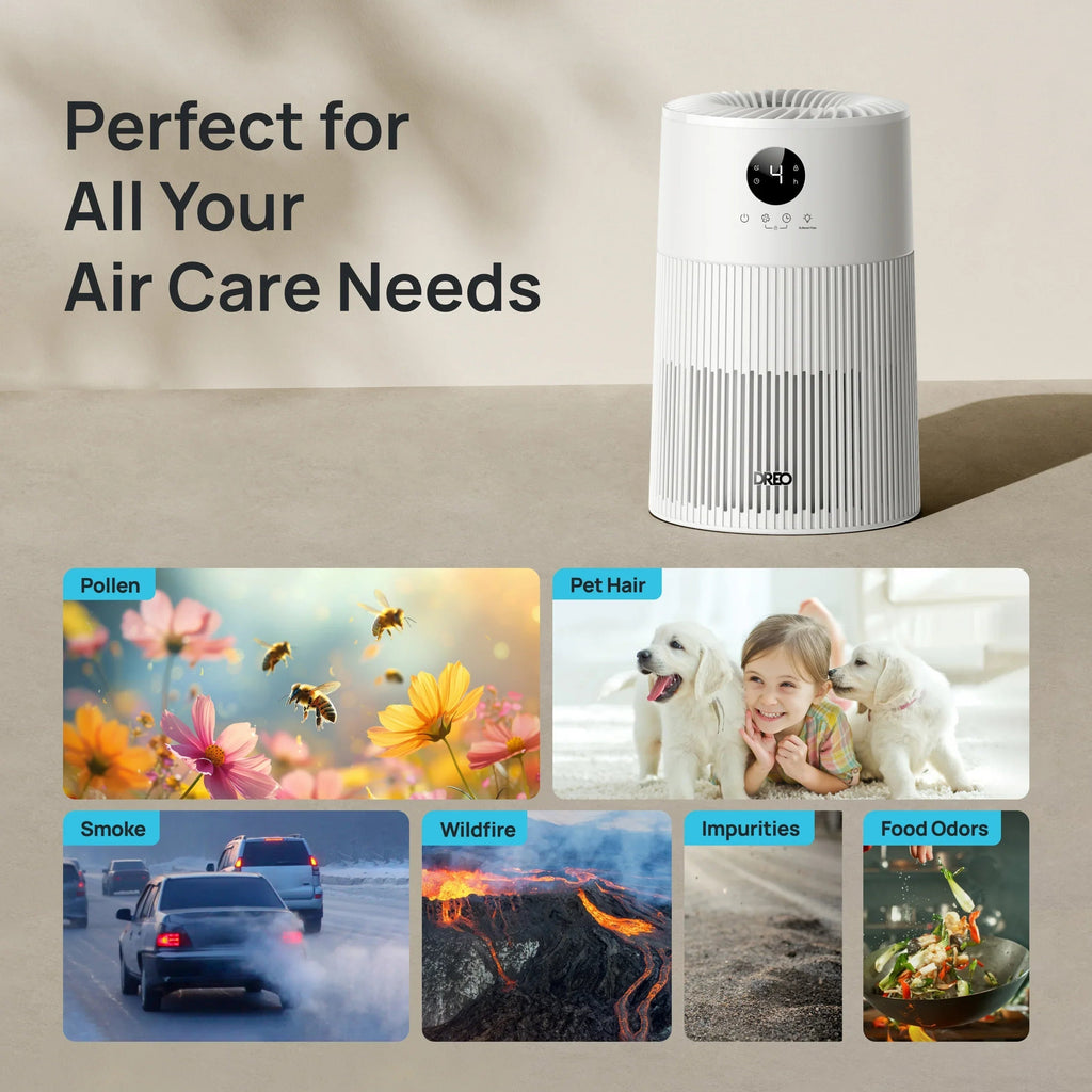 Air Purifier Macro AP314 - DREO